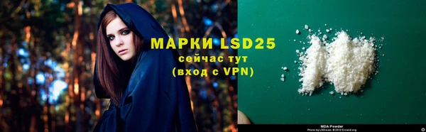 крисы Новозыбков