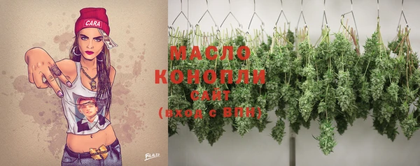 крисы Новозыбков