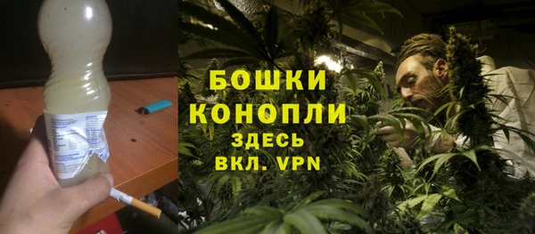 крисы Новозыбков