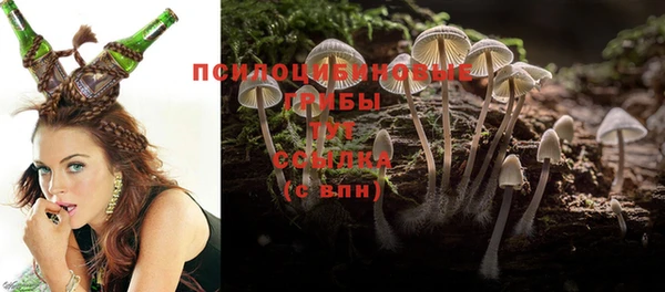 шишки Новокубанск