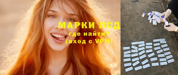 шишки Новокубанск
