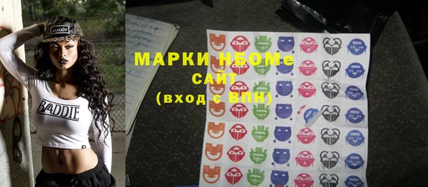 крисы Новозыбков