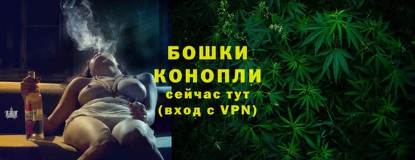 шишки Новокубанск