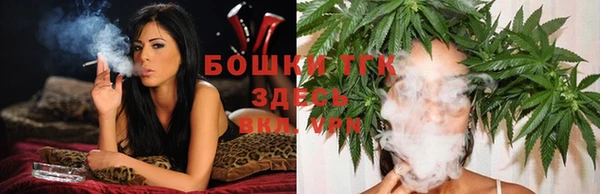 шишки Новокубанск