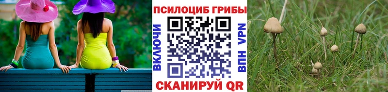 Галлюциногенные грибы GOLDEN TEACHER Приволжск